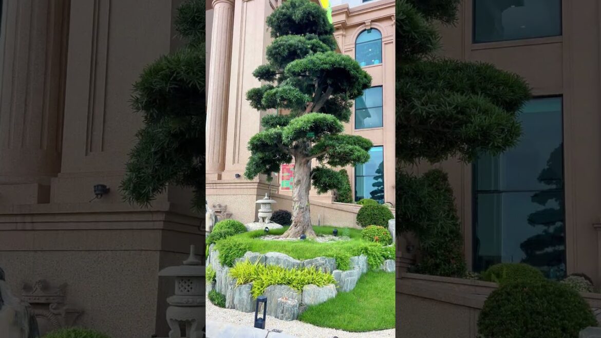 A Japanese Garden... on the Rooftop?!
