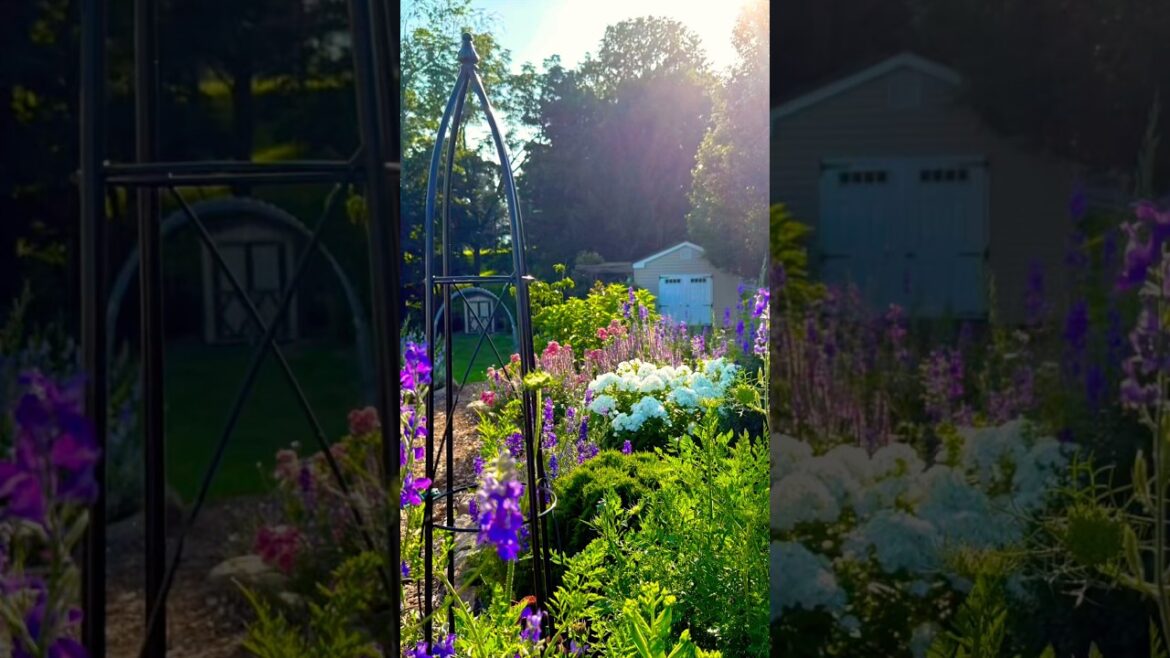 Spring Garden Cleanup 🌱 Transform Your Yard #garden #spring #home #new