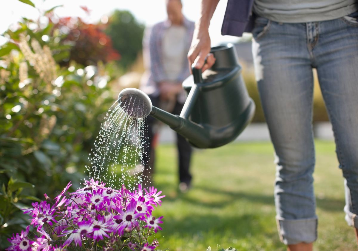 Woman watering flowers in garden with watering can - stock photo