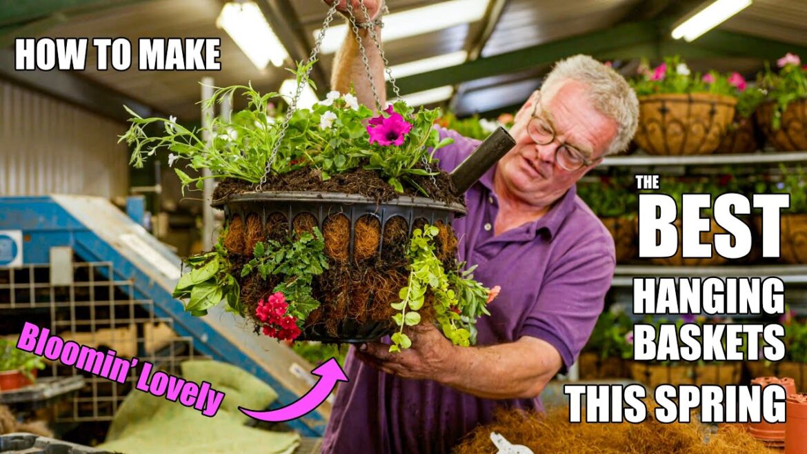 Maximize Your Hanging Baskets This Spring with the Best Plants | Spring Gardening Tips