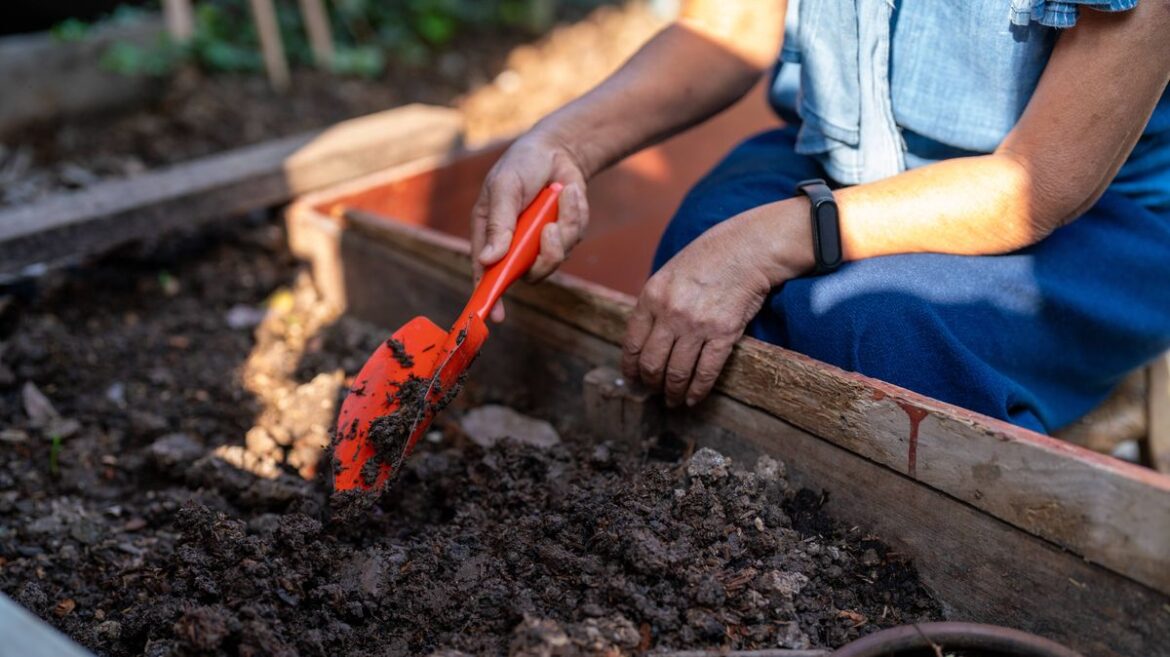 Gardening expert shares ‘most important’ task everyone should do in April Devon Live