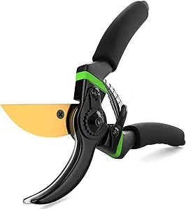 Best Japanese Garden Shears That Will Transform Your Garden! Best Japanese Garden Shears That Will Transform Your Garden!