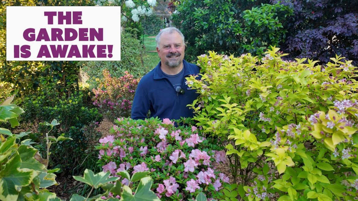 Jim’s Weekly Garden Plan – So Many Flowering Plants, It’s Still Cold, Birds in the Garden Jim's Weekly Garden Plan - So Many Flowering Plants, It's Still Cold, Birds in the Garden