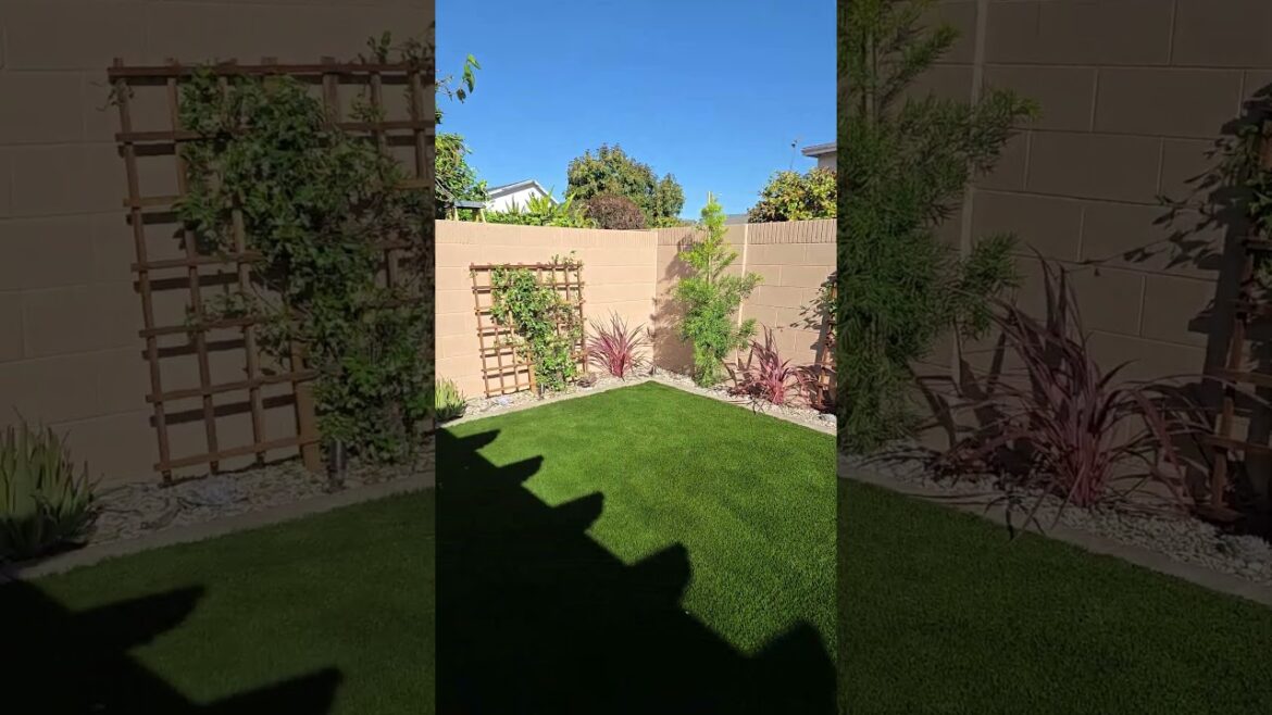 #landscaping #backyard #landscape