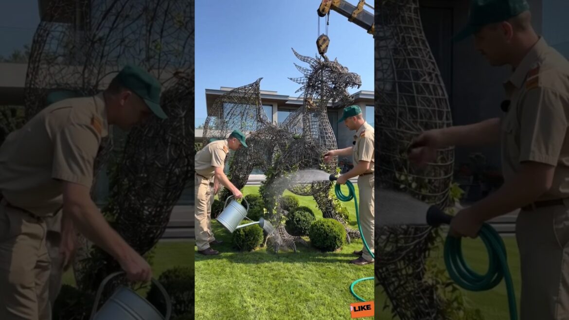 Dragon Topiary Transformation Video, Garden Sculpture Timelapse 😱 #gardentransformation #viral