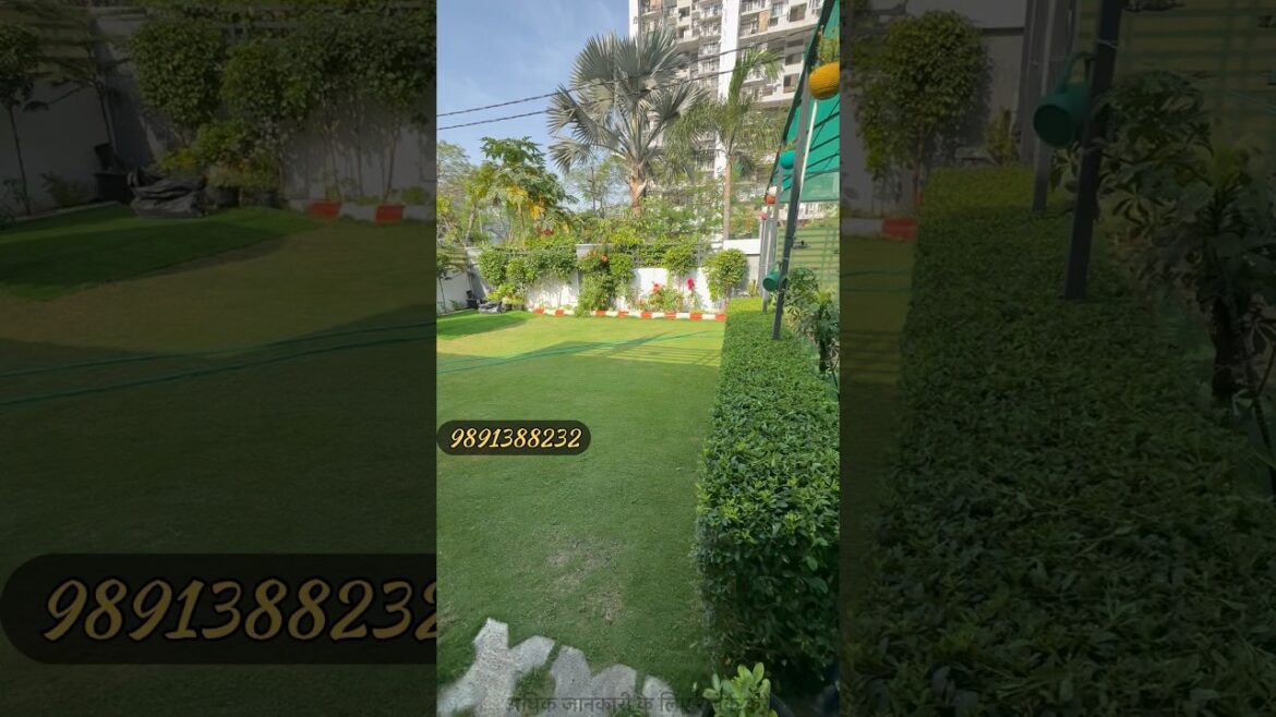 Garden Banwana Hai? Aaj Hi Contact Kare | Beautiful Garden Design Ideas 🌿 #garden #gardening #plant Garden Banwana Hai? Aaj Hi Contact Kare | Beautiful Garden Design Ideas 🌿 #garden #gardening #plant
