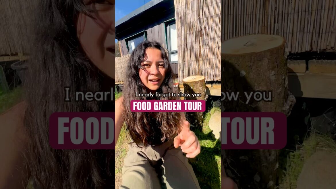 Garden Tour at Our Off Grid Cabin in Wales #foodgarden #vegetablegarden #offgriduk Garden Tour at Our Off Grid Cabin in Wales #foodgarden #vegetablegarden #offgriduk