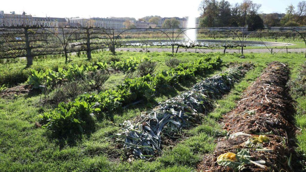 Do these 7 gardening tasks now before summer heat arrives