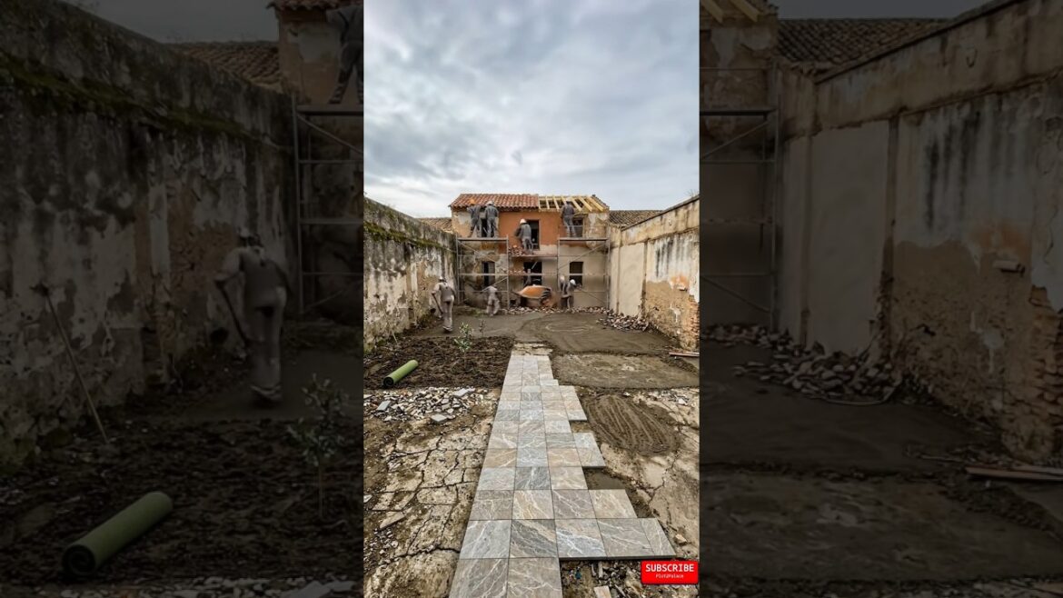 Abandoned Courtyard to Dream Garden 🌿 | Satisfying Timelapse Transformation#youtubeshorts#timelapse Abandoned Courtyard to Dream Garden 🌿 | Satisfying Timelapse Transformation#youtubeshorts#timelapse
