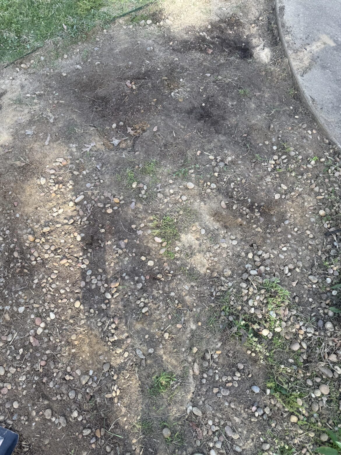 Can sod be laid over this?