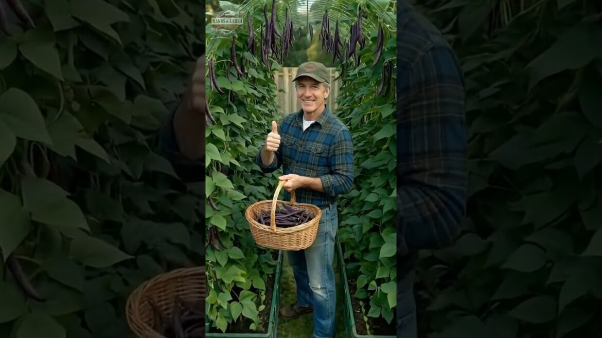 Stop Throwing Away Crates! Grow This Instead 📦 #gardening #diy Stop Throwing Away Crates! Grow This Instead 📦 #gardening #diy