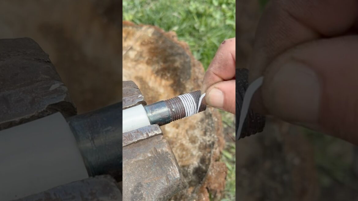 Simple but Reliable Hack #shorts #diy #tips #tricks #gardening #tools #lifehacks