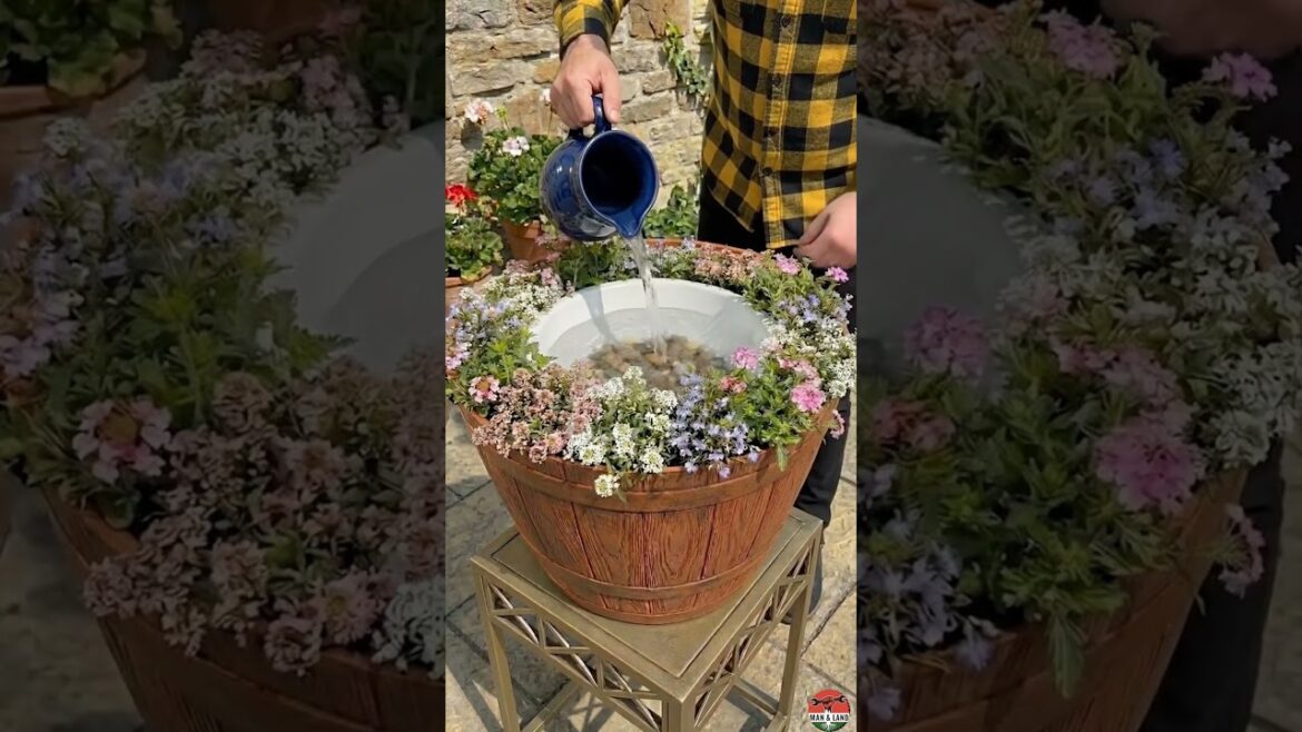 From Empty Pot to Luxury Garden Decor ✨💧  #garden