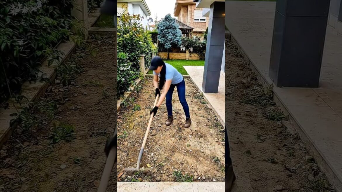 Empty Garden Strip to Beautiful Landscape Design | Abandoned Garden to Luxury Transformation