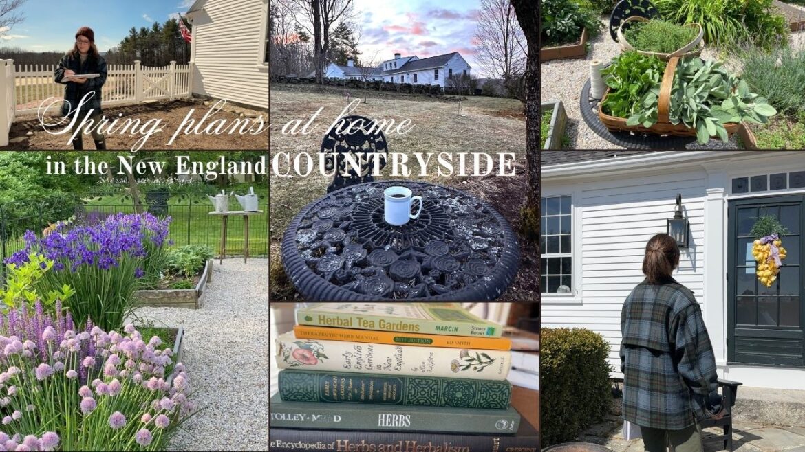 Spring home and garden plans - Sketching out the apothecary kitchen garden - New  England Lifestyle