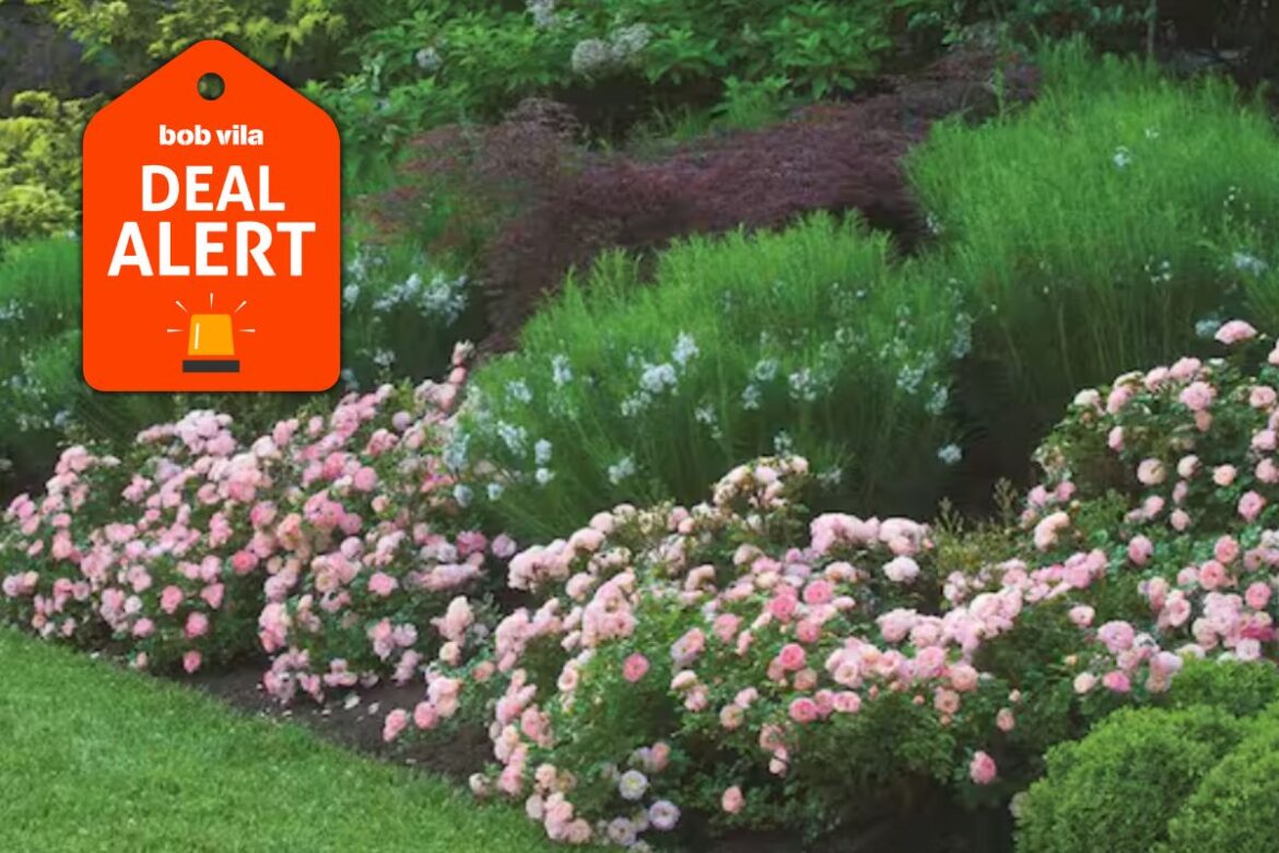 Home Depot Drops Lawn and Garden Prices Up to 60% for Spring Black Friday—Save on Trees, Shrubs, Planters, and More Home Depot Drops Lawn and Garden Prices Up to 60% for Spring Black Friday—Save on Trees, Shrubs, Planters, and More