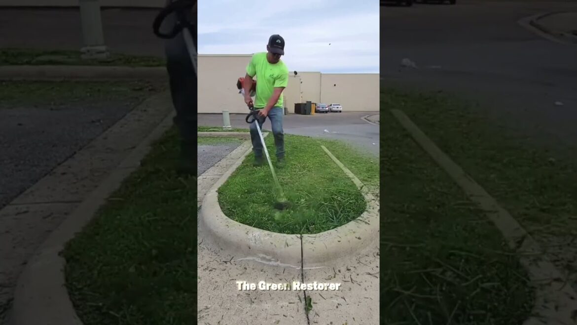 Blowing | Pressure Washing | Trimming | Cutting | Edging | Pruning | Cleaning #shorts #satisfying Blowing | Pressure Washing | Trimming | Cutting | Edging | Pruning | Cleaning #shorts #satisfying