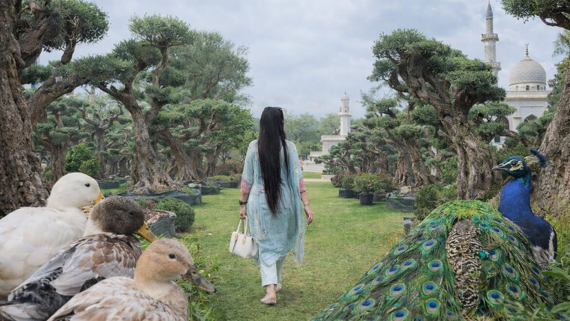 A hidden gem in Dubai! 🌿Green Trend Landscape LLC #hiddengems A hidden gem in Dubai! 🌿Green Trend Landscape LLC #hiddengems