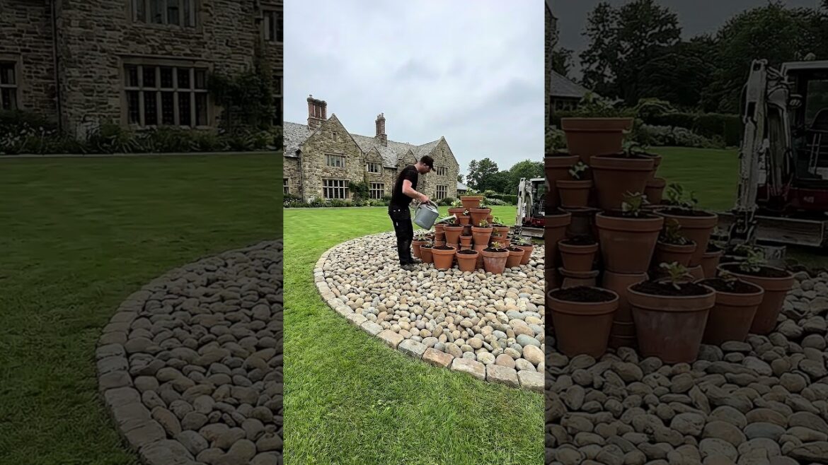 How to Build a Stunning Rock & Pot Garden in 1 Day 🌿 How to Build a Stunning Rock & Pot Garden in 1 Day 🌿