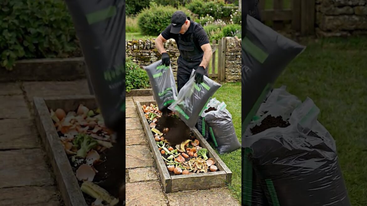 Kitchen Scraps Turned Into Thriving Garden Bed Kitchen Scraps Turned Into Thriving Garden Bed