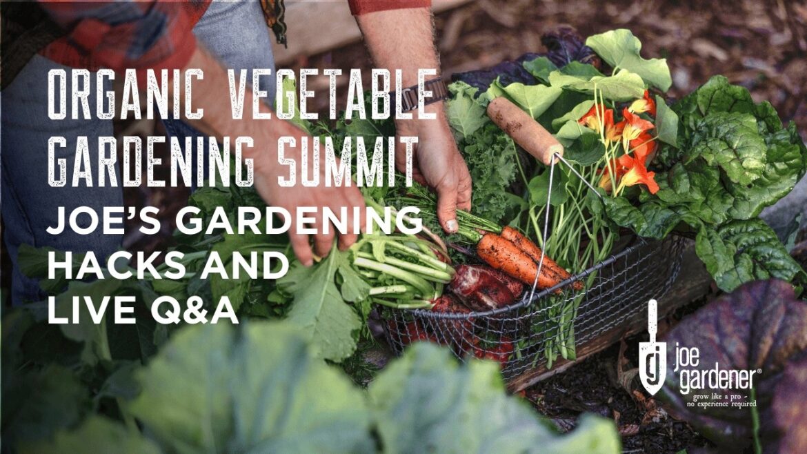 Organic Vegetable Gardening Summit – Garden Hacks & Live Q&A Organic Vegetable Gardening Summit - Garden Hacks & Live Q&A