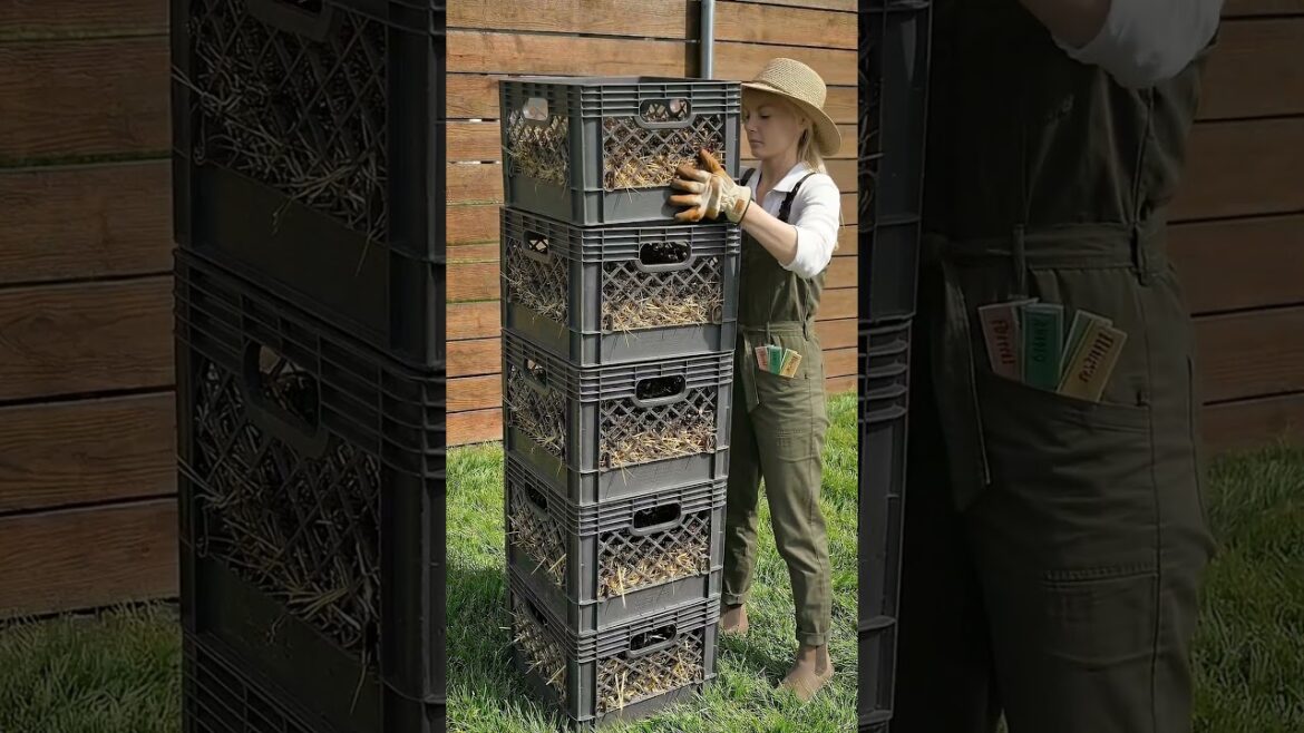 Grow potatoes vertically in boxes 🥔🌱(you won’t believe this works) #handmade #homegarden #gardening Grow potatoes vertically in boxes 🥔🌱(you won’t believe this works) #handmade #homegarden #gardening