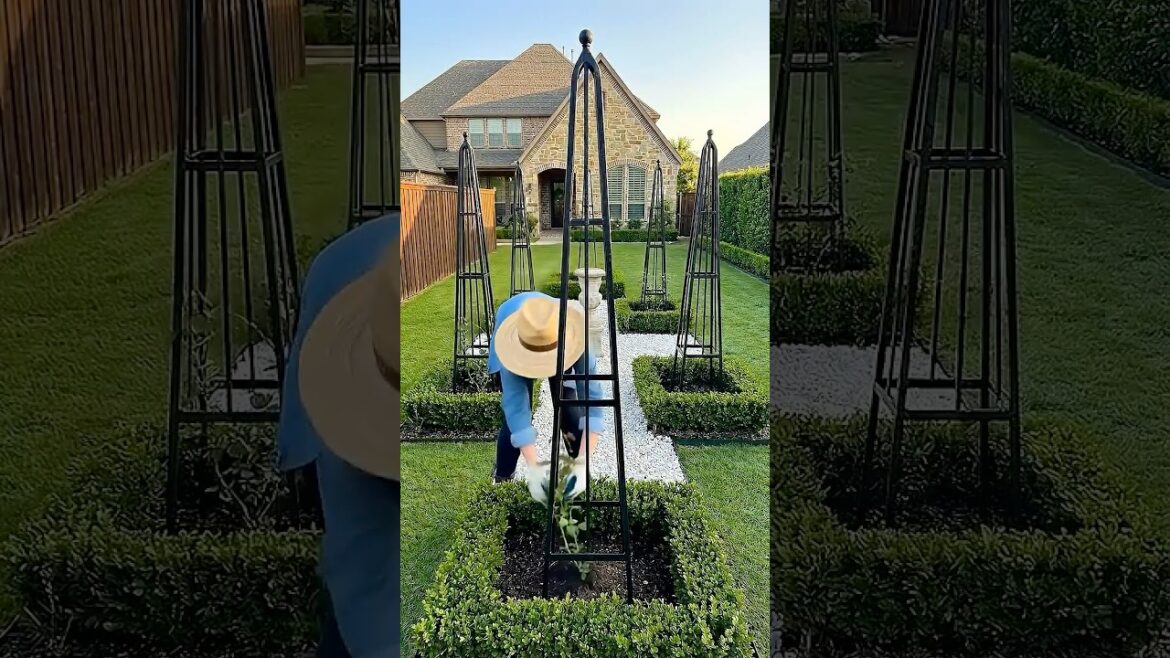 Plain Lawn to FORMAL Rose Garden With Iron Obelisks 🌹 Plain Lawn to FORMAL Rose Garden With Iron Obelisks 🌹