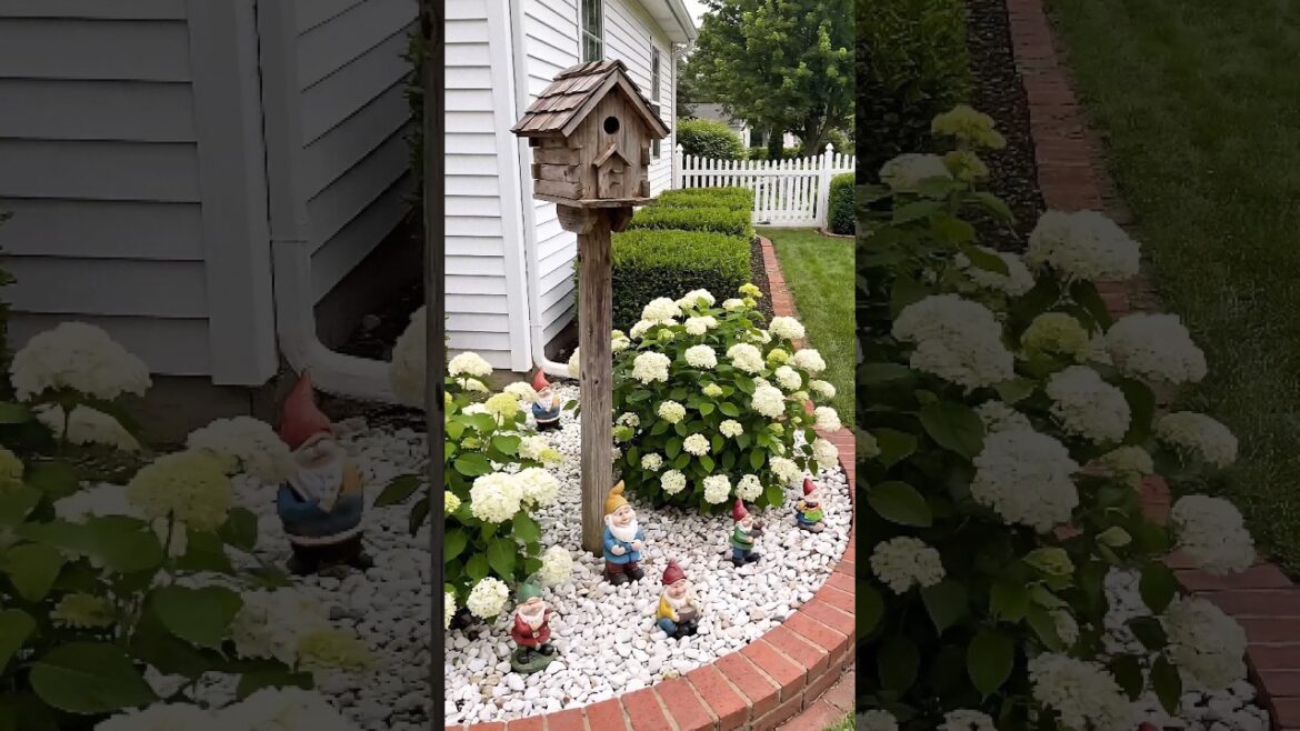 Charming Birdhouse Garden Corner 🐦🌸gardeninspiration #cottagegarden #hydrangea Charming Birdhouse Garden Corner 🐦🌸gardeninspiration #cottagegarden #hydrangea