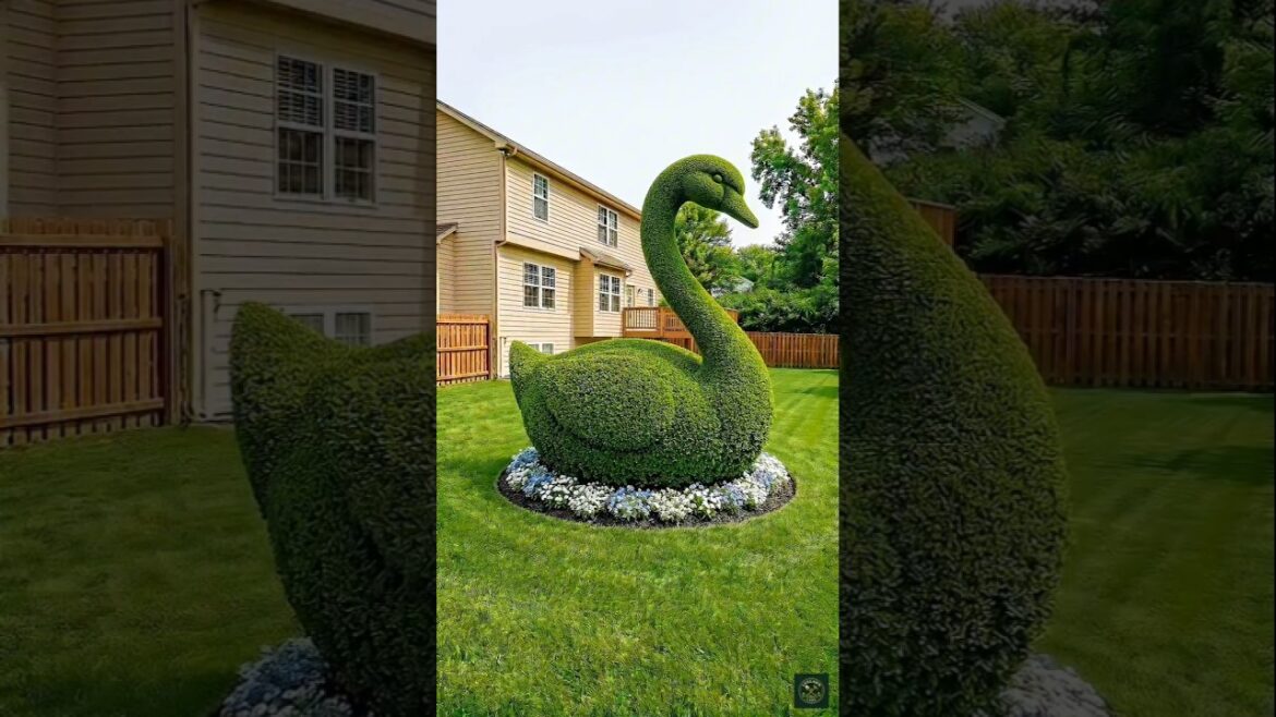 Amazing Garden makeover ✨ #shorts