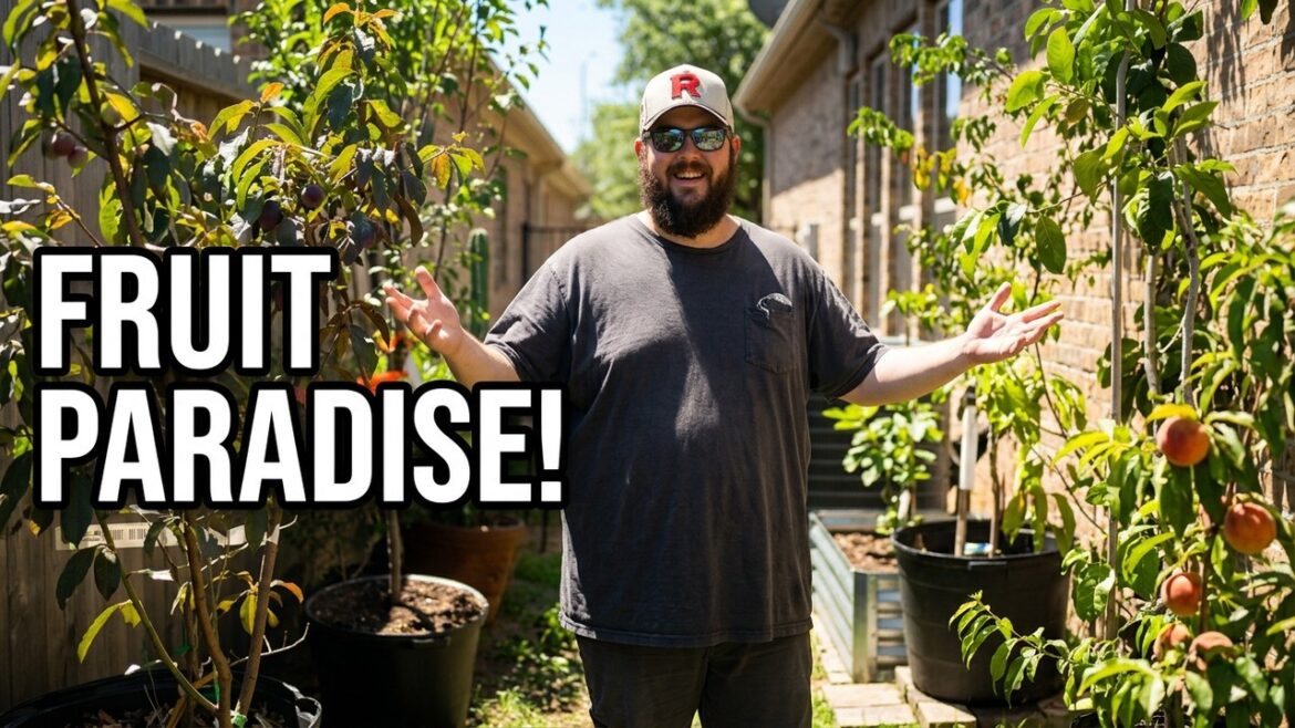 April Garden Tour | Backyard Orchard + Container Gardening / Tropical Plants April Garden Tour | Backyard Orchard + Container Gardening / Tropical Plants