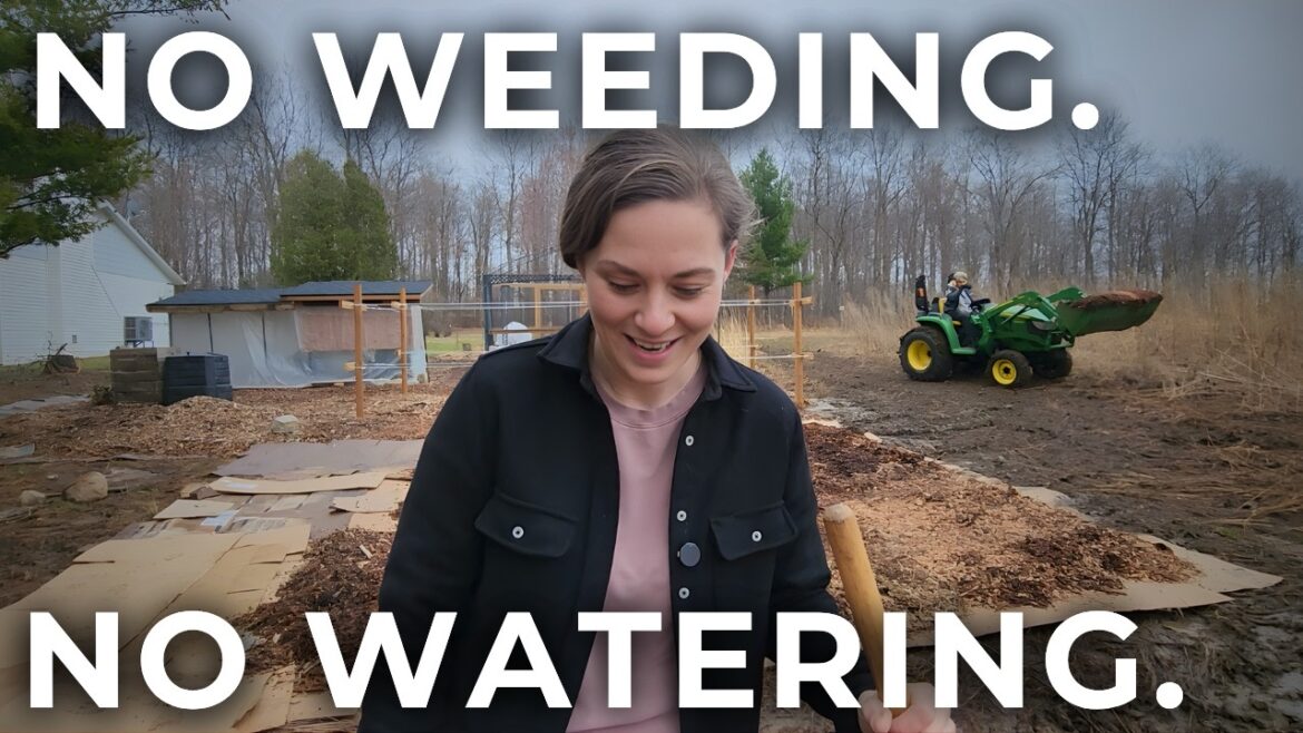 No-Till Bed Prep | Huge New Homestead Garden No-Till Bed Prep | Huge New Homestead Garden