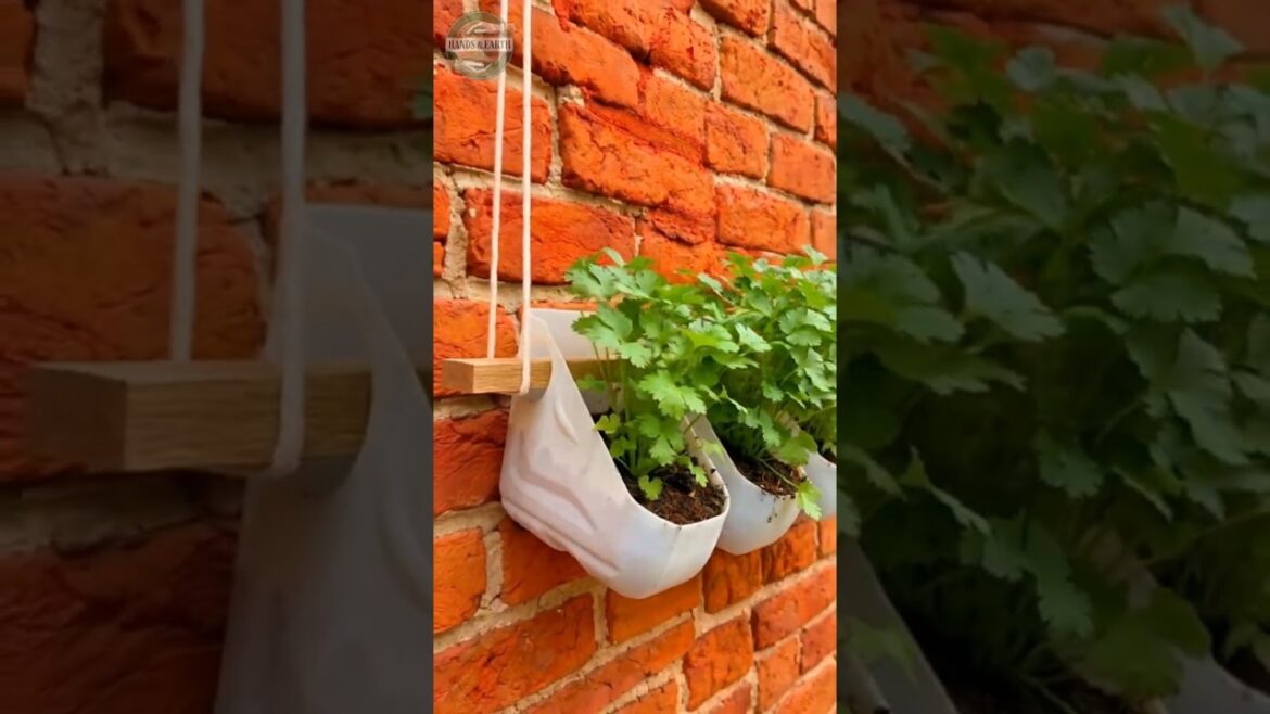 Genius Hanging Garden Idea! 🌿 Don't Throw Away Plastic Canisters! #upcycling #diy #gardening