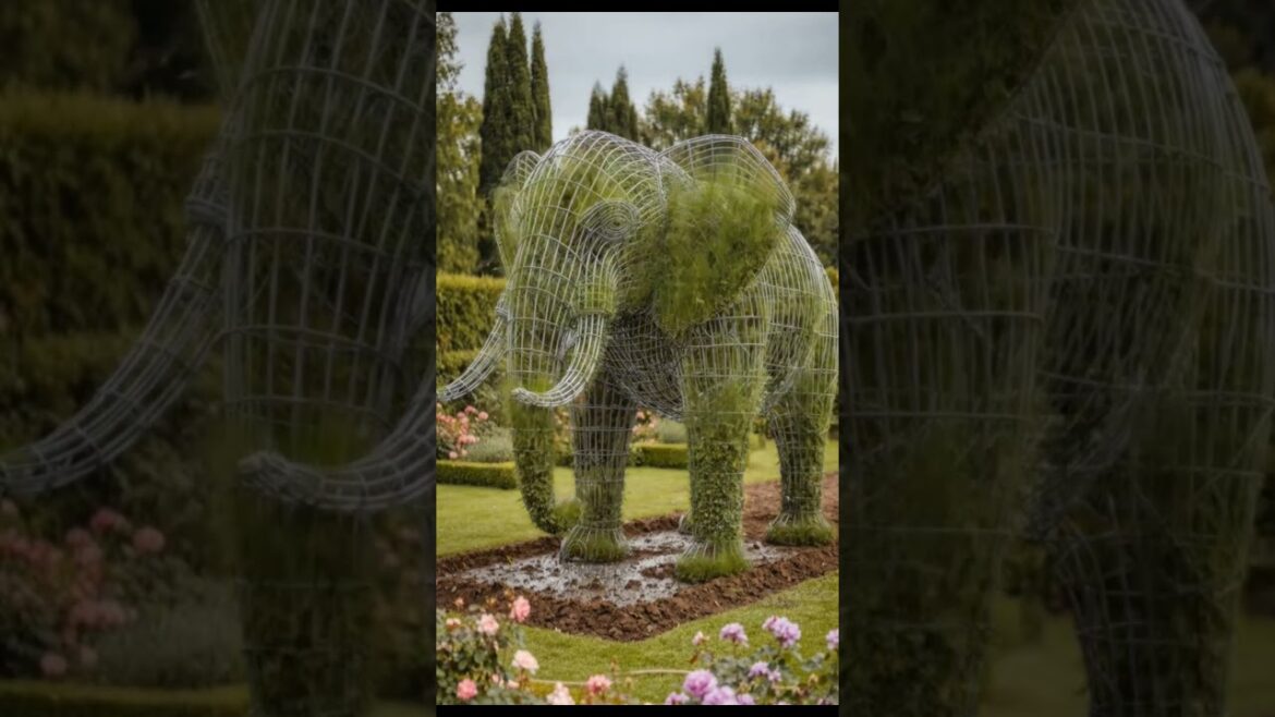 Amazing Elephant Topiary Transformation | From Frame to Living Garden Sculpture Amazing Elephant Topiary Transformation | From Frame to Living Garden Sculpture