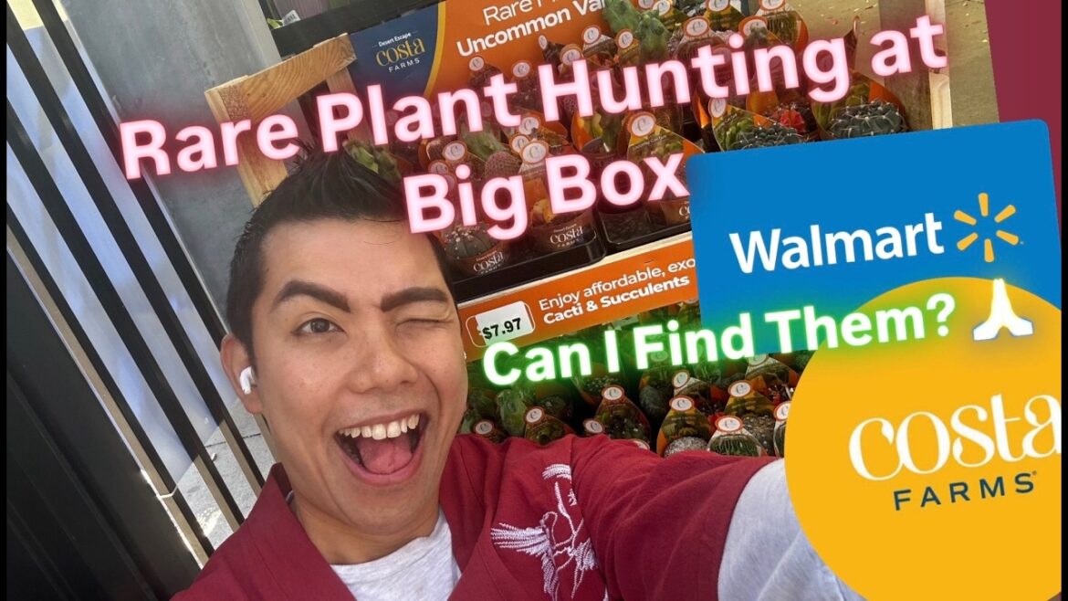Rare Plant Hunting Spring 2026 Big Box Store Plant Shopping at Multiple Walmart Location Costa Farms
