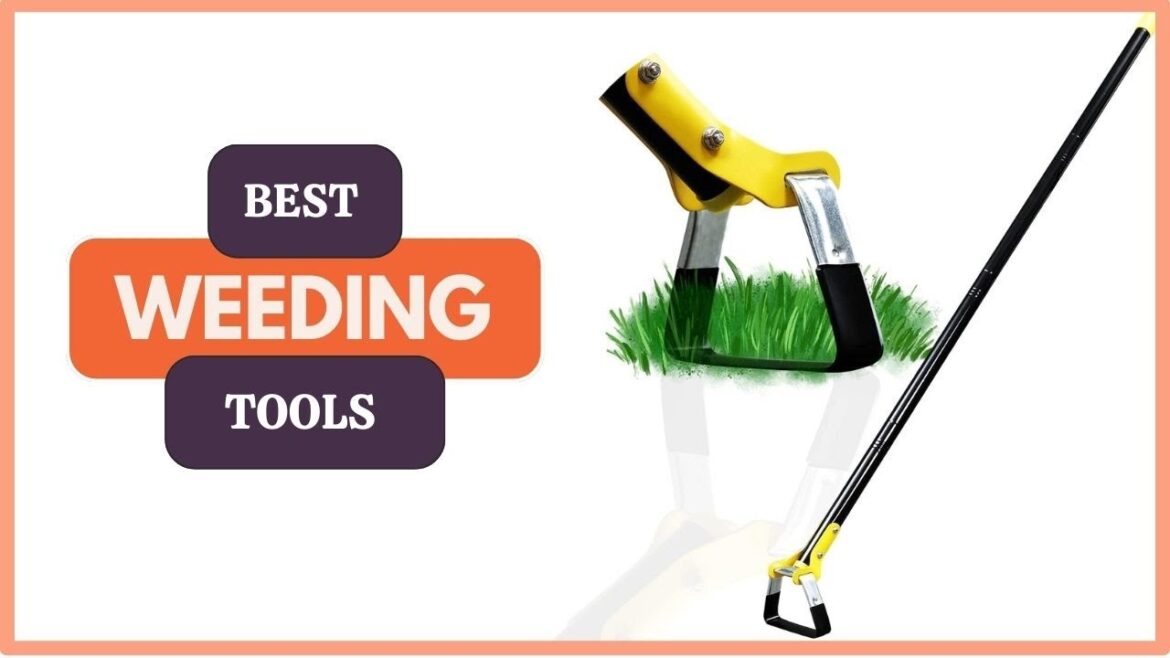 5 Best Weeding Tools of 2025, Tested and Reviewed 5 Best Weeding Tools of 2025, Tested and Reviewed