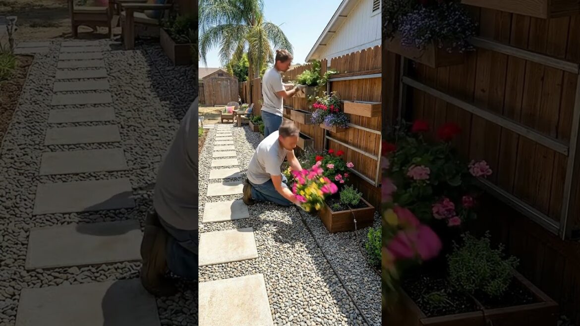 DIY Garden Renovation Amazing Backyard Transformation in Seconds DIY Garden Renovation Amazing Backyard Transformation in Seconds