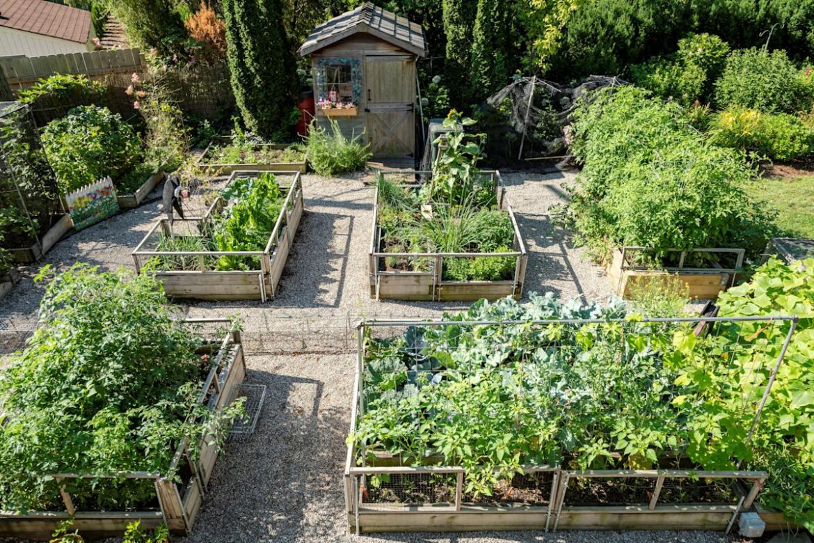 Kitchen gardens and the farm-to-table movement are becoming more popular according to registered landscape architect Amy Schimmel Bessolo of Goldner Walsh.