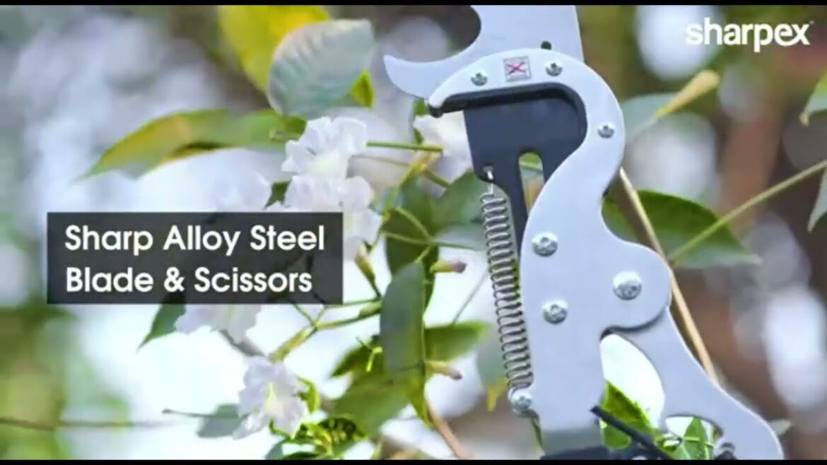 5 Essential Tree Pruning Tips Every Gardener Needs