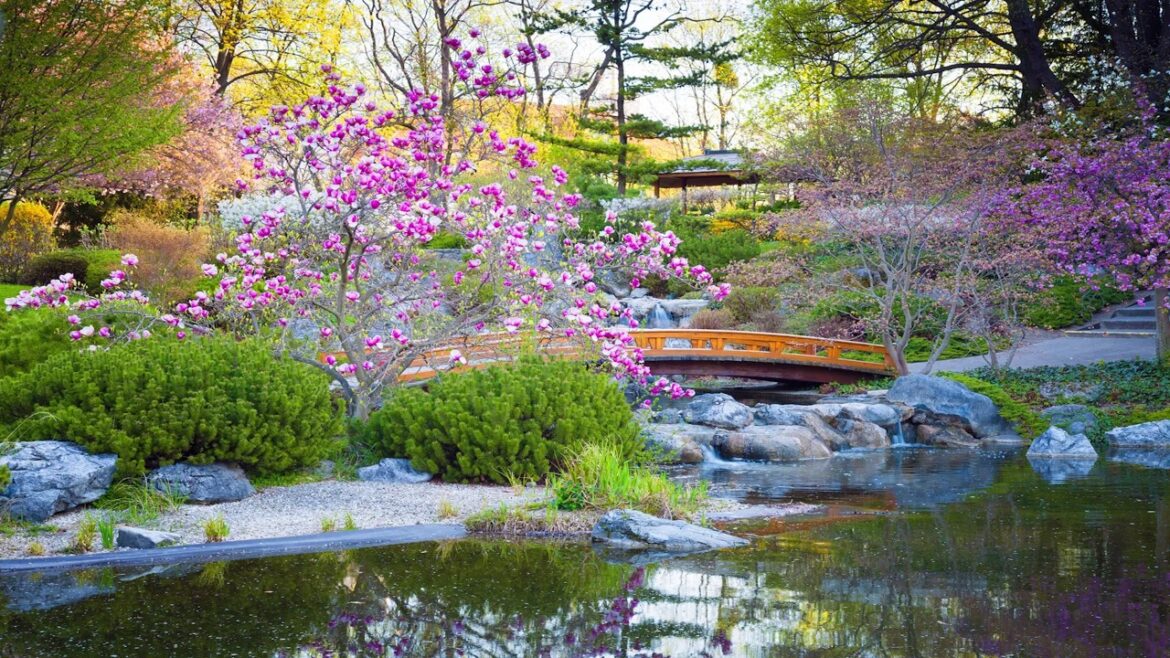 PEACEFUL! TRADITIONAL JAPANESE GARDEN DESIGN IDEAS | TURN A TINY PATIO INTO A 5-STAR ZEN SANCTUARY