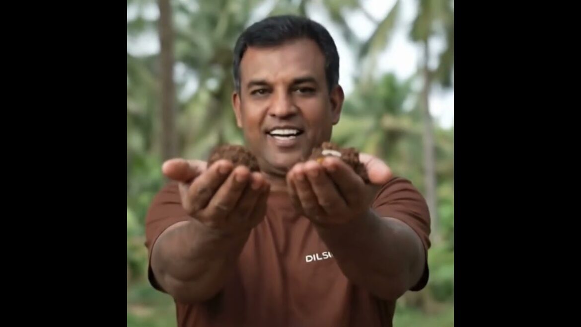 හැමදාම වවන්නේ නැතුව වත්තේ වයිබ් එක වෙනස් කරන ඇට බෝම්බ | Seed Bombs Sinhala