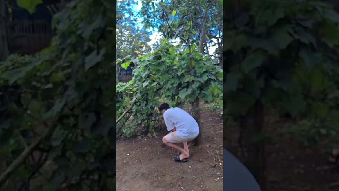 Girls Trends #reels #memes #viral #trend #shorts #prank #laugh #reaction #duet #Girls #husbandwife Girls Trends #reels #memes #viral #trend #shorts #prank #laugh #reaction #duet #Girls #husbandwife