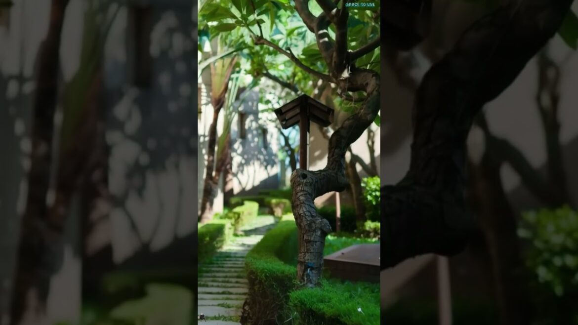 Garden walks | Original garden design ideas #gardendesign #landscapeaesthetics #home Garden walks | Original garden design ideas #gardendesign #landscapeaesthetics #home