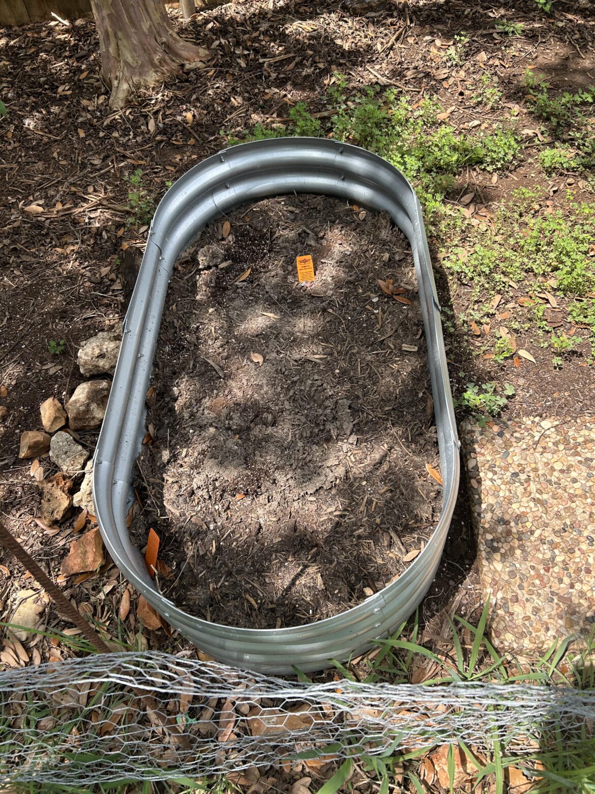 Plants disappearing