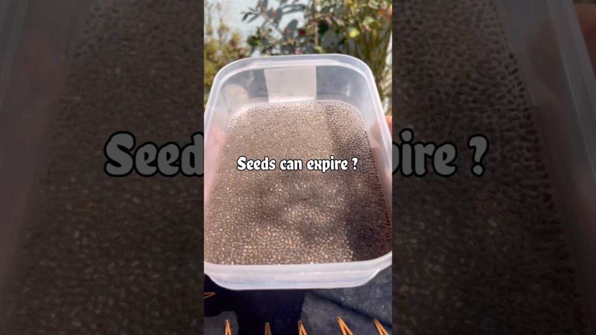 Do edible seeds really expire ?#youtubeshorts #microgreens Do edible seeds really expire ?#youtubeshorts #microgreens