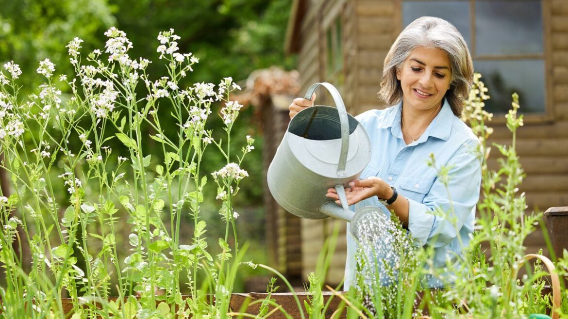 Gardeners warned to avoid planting ‘silent killer’ with beautiful flowers Wales Online