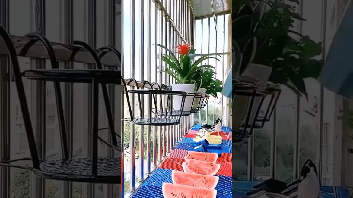 Balcony hanging flower pot stand online available on Amazon Flipkart