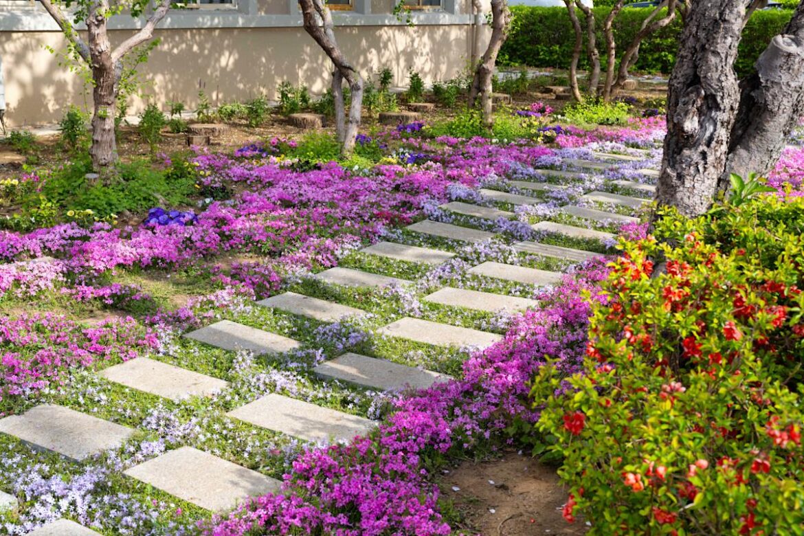 We Asked Gardeners Which Fast-Growing Groundcover Is the Easiest to Maintain—and Their Answer Was Unanimous Real Simple