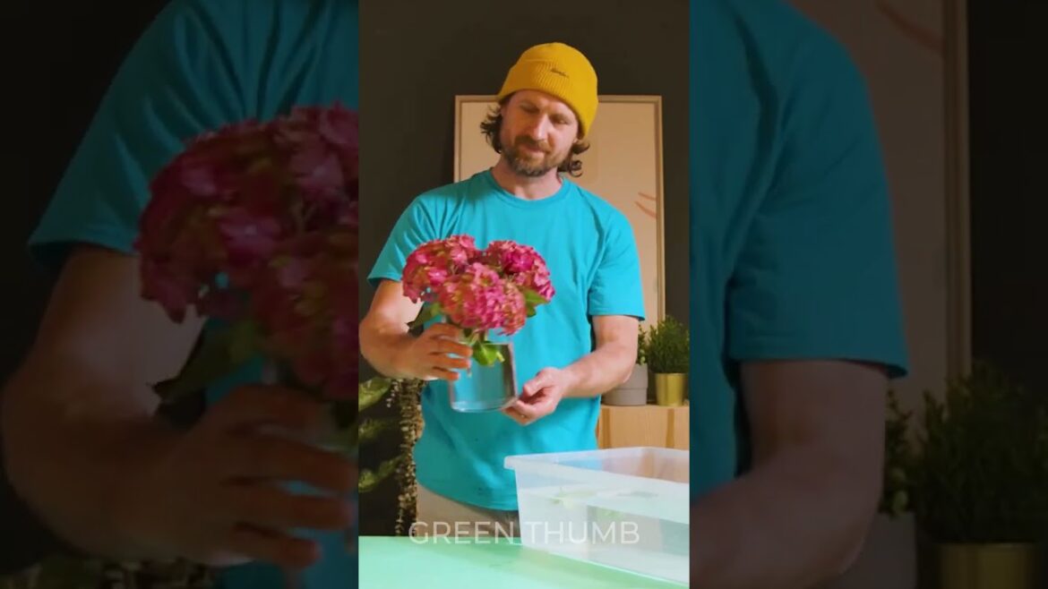 Save It Before It's Gone! Genius Gardening Tricks 🪴🚨