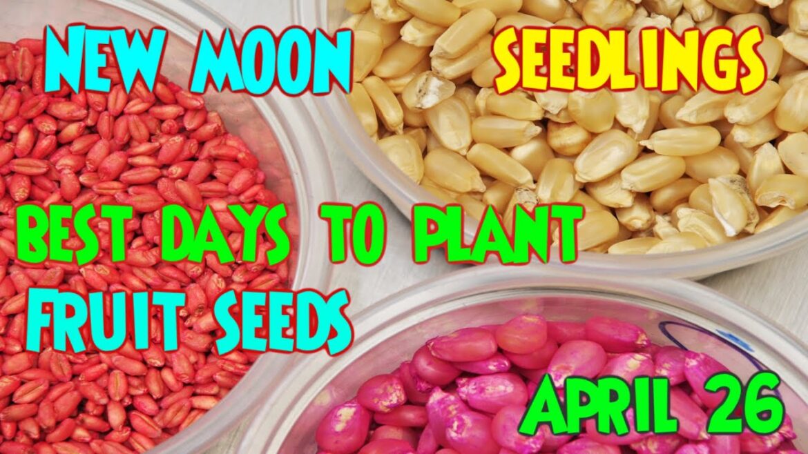 April Seed Germination Dates | Seed Starting Guide | Sustainable Vegetable Gardening