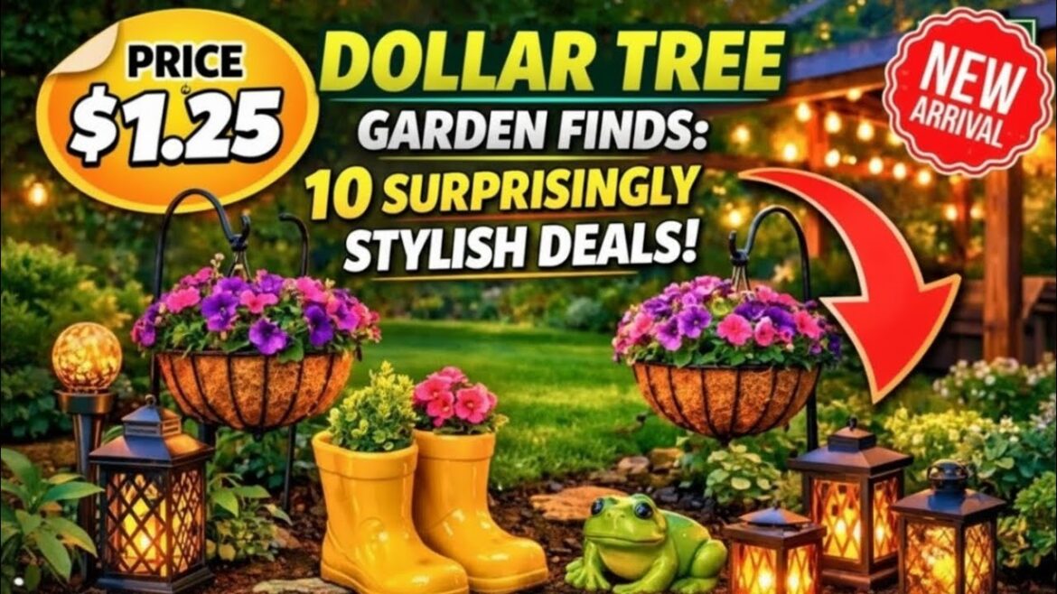 Dollar Tree Just Dropped These Garden Finds and Gardeners Are Emptying the Shelves